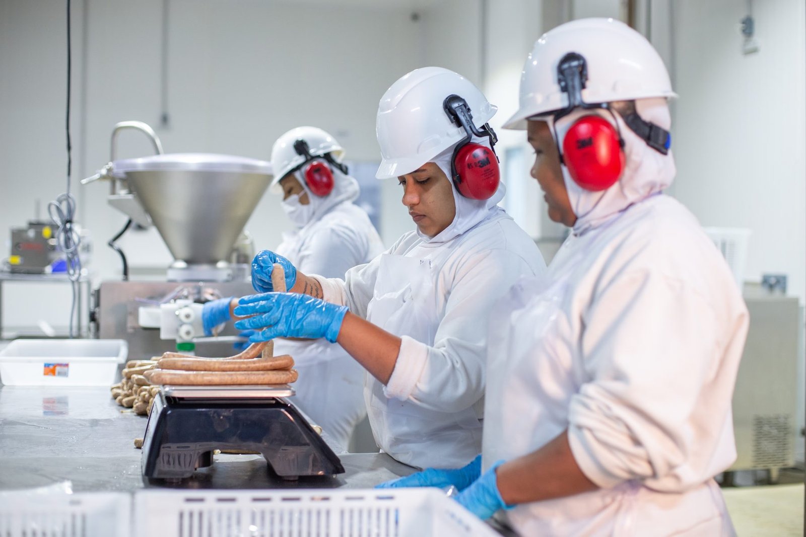 Equipe do O Cortês na linha de produção