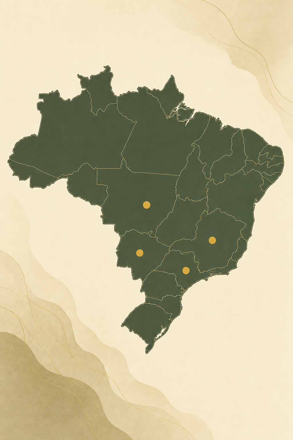 Mapa do Brasil destacando os estados onde o Grupo ARO opera