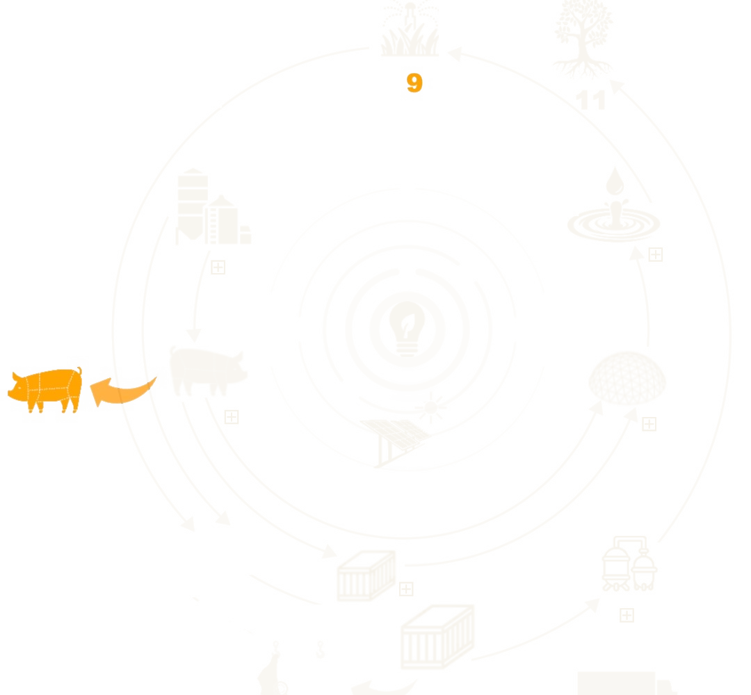 Diagrama do sistema circular do Grupo ARO com sete etapas